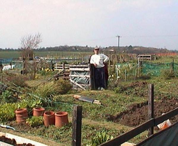 Allotments