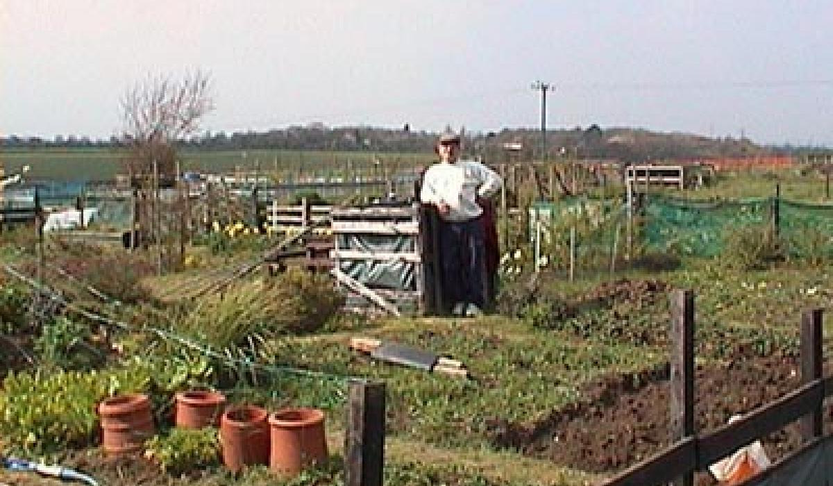 Allotments